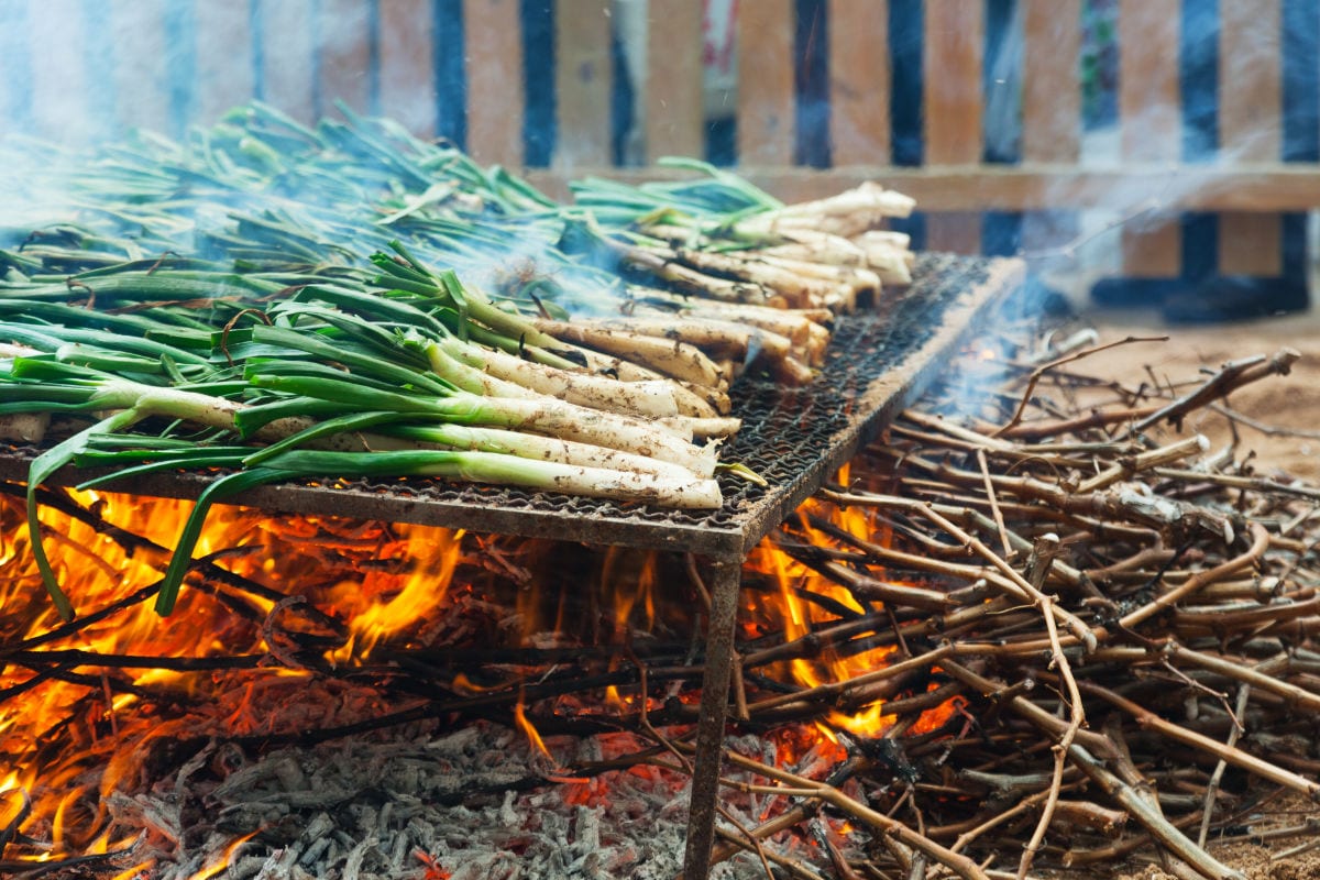 CALÇOTADA IPA TARRAGONA 2023
